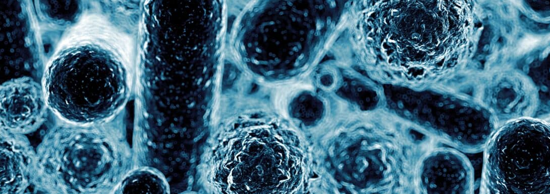 Chemical Nature of Lipophilic Drugs