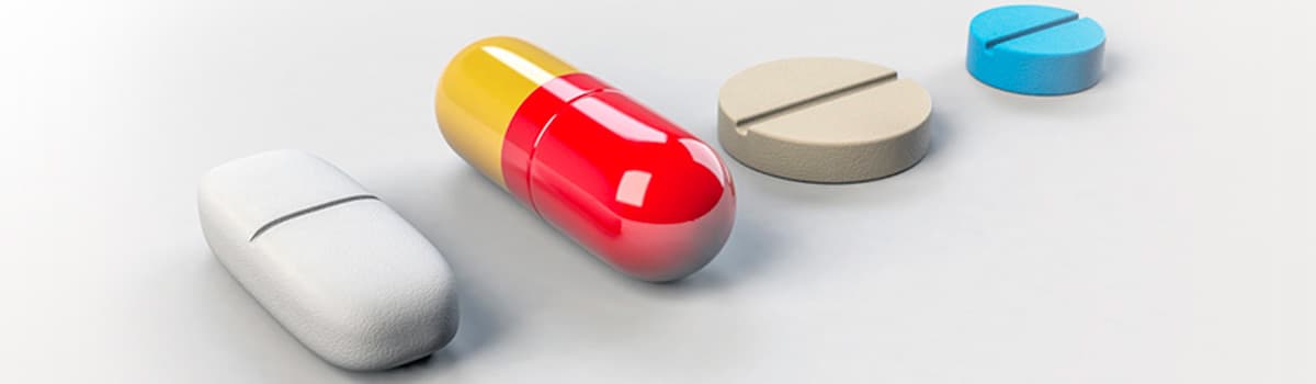 Process Scale-up, Validation & Technology Transfer