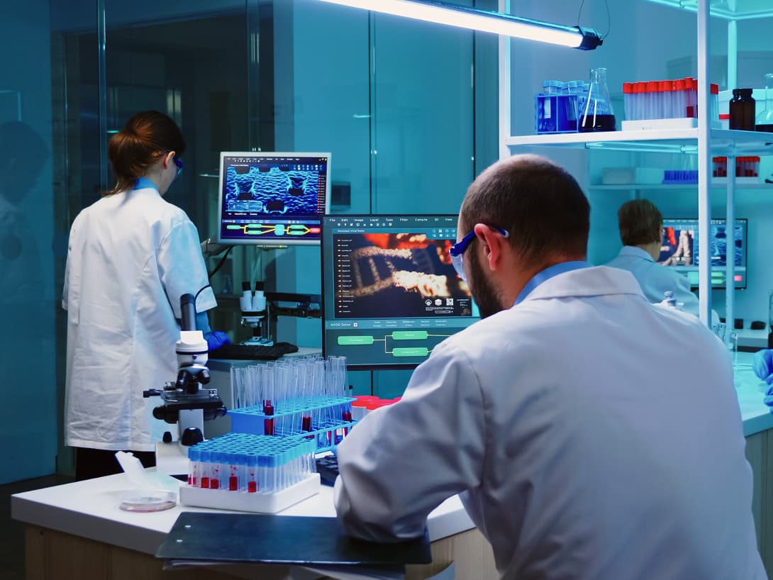 Phases of Drug Development Process