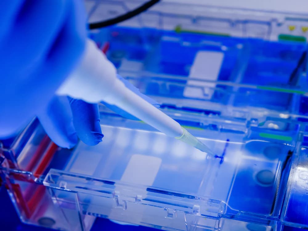 Extractables and Leachables Testing