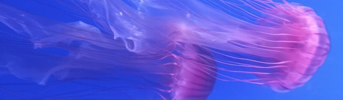 CMC Regulatory Requirements for Biosimilars